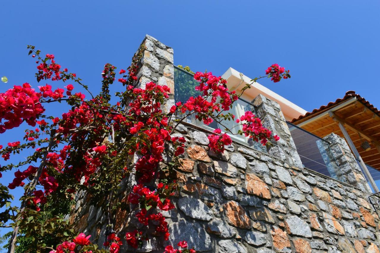 Melina Skiathos Kolios Exterior photo