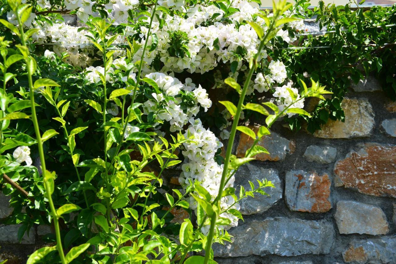 Melina Skiathos Kolios Exterior photo